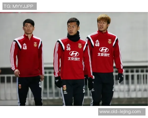 李昂在足球中的精彩表现与职业生涯的深刻反思与启示